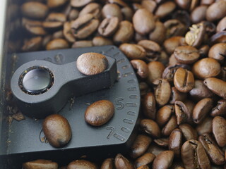roasted coffee beans