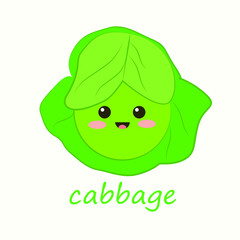 vector illustration fruit chibi cute character cabbage