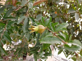 bird on a branch