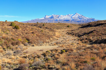 Fototapeta na wymiar Mount Ruapehu, New Zealand, seen from the Rangipo Desert, an area of sparse grasses and tussocks in NZ's Volcanic Plateau