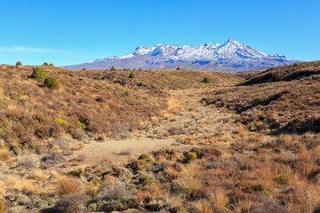 Mount Ruapehu, New Zealand, seen from the Rangipo Desert, an area of sparse grasses and tussocks in NZ's Volcanic Plateau