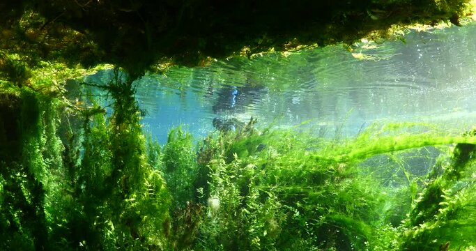 underwater freshwater lake river spring scenery with grasses and algae reflections and sun beams