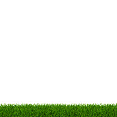 Green Grass Frame White Background With Gradient Mesh, Vector Illustration