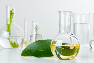 Plants in laboratory glassware. Skincare products and drugs chemical researches concept