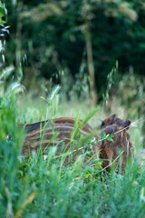 france-nature-beach-landscape-city