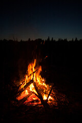 Warm bright bonfire / fireplace on the summer / spring night at the polish lake in the forest