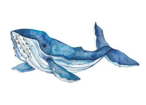 Watercolor hand-drawn humpback whale illustration - jumping up from the foamy ocean wave, playful, happy mammal. Character, logo, children wallpaper. Marine clip art. Ocean, sea inhabitant.