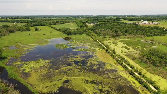 Aerial view of open water marsh. Midwestern landscape, wilderness from above. Daytime, summer