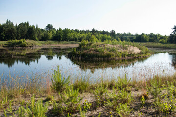Beautiful landscape with lake with small grassy island and fresh green forest on the background. Poland. Europe
