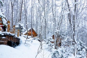 Background image with winter landscape on snow day