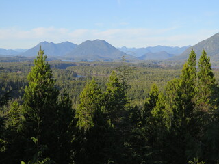 the view from the Radar Hill in Tofino on Vancouver Island in the province British Columbia in the...