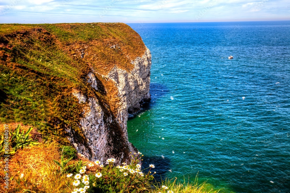 Wall mural view of flamborough cliffs of north sea coast, yorkshire, great britain.