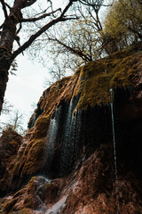 Fototapeta premium Nature-Germany-Bavaria