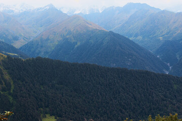 a landscape view of the forest in front of high mountains