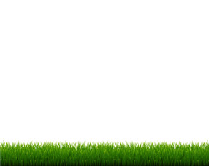 Green Grass Frame Isolated White Background, Vector Illustration