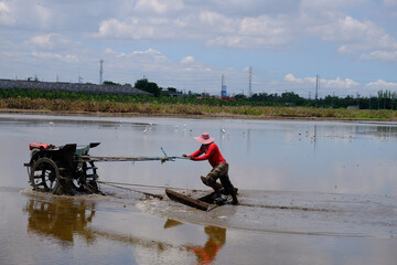 Thai farmer using walking tractor to cultivate soil for rice field preparation