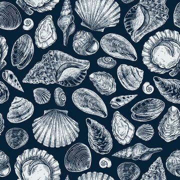 Seashell elegant seamless pattern. Engraved style elements. Various shell forms. Vector illustration