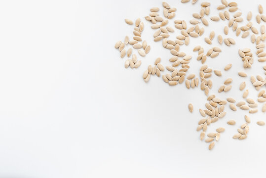 melon seeds on white background 