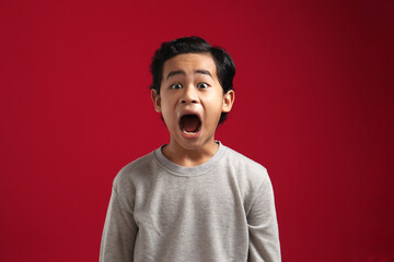 Asian boy looking at camera with open mouth and big eyes, shocked surprised wow stunned expression...
