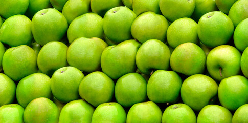 Tasty organic green apples assortment from bio farm. Summer fruit texture background.