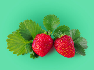 Two ripe juicy red strawberries isolated on a light green background with green leaves.