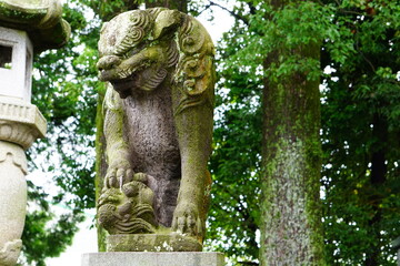 苔で覆われた古びた狛犬