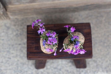 A bunch of fresh wild flowers planted in a pot.