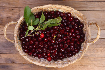 sour cherries on wooden table