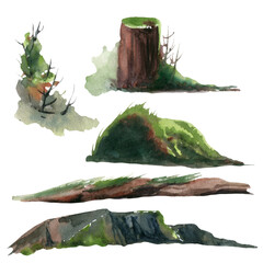 Watercolor moss illustrations set. - 358755021