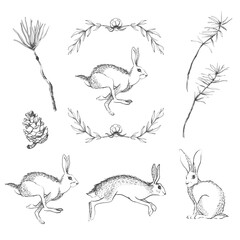 Graphic hare and herbs set.