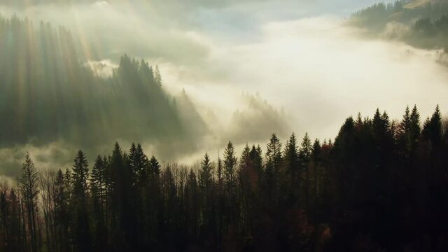 Drone flight over mountain forest and misty valley