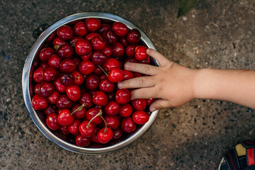 cherry summer hands baby