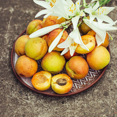 summer apricots on a plate