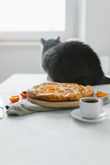 Naklejka premium Apricot pie on the table and british cat. Home comfort and decor. Homemade cakes and coffee.