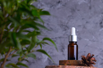 Moisturizing serum with collagen and mucin of a snail for face skin against wrinkles and acne in a glass bottle on wooden supports with cones and a green plant with small leaves on a gray background