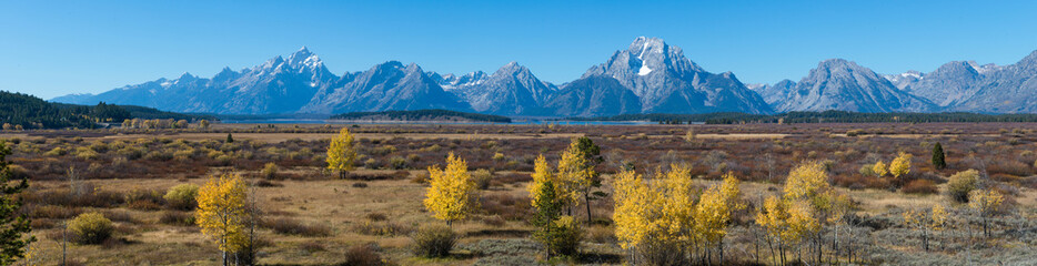 USA, Wyoming. a clear view of the Teton range in autumn
