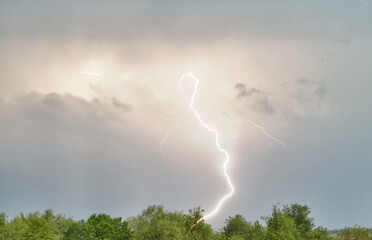 Lightning from the sky to the trees