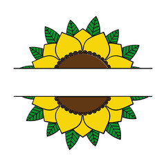 vector illustration of a sunflower