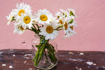 Bouquet of daisies in a glass jar on a wooden surface on a pink background