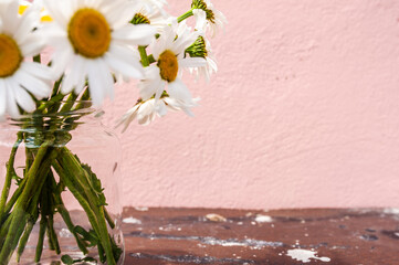 Bouquet of daisies in a glass jar on a wooden surface on a pink background