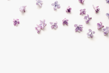 Fototapeta na wymiar lilac flowers on white background