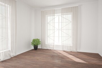modern empty room with curtains and plant in black pot interior design. 3D illustration