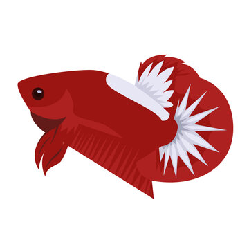 Betta Hellboy Logo Vector Design