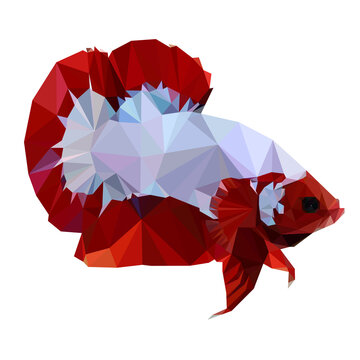 Betta Low Polly Logo Vector Design