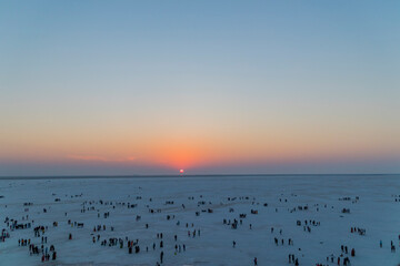 Various views of the Rann of kutch