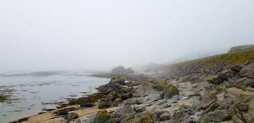 misty morning in the mountains