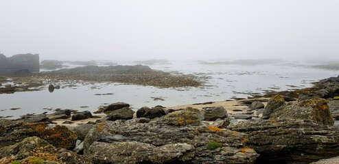 frozen lake in winter