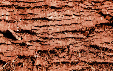 Cracked red soil on the nature.