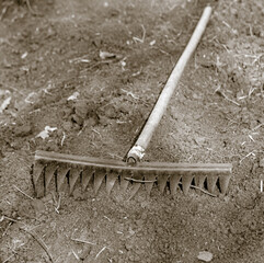 Rake on the ground in the garden.