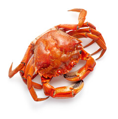 red boiled crab isolated on white background